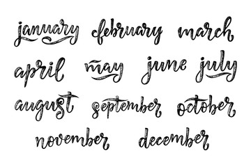 Wall Mural - Handwritten names of months December, January, February, March, April, May, June, July, August, September, October, November. Calligraphy words for calendars and organizers.