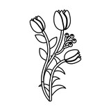 Fototapeta Tulipany - tulip flower icon image vector illustration design  black line black line