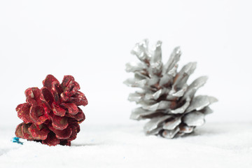 Wall Mural - close up pine cone on the snow