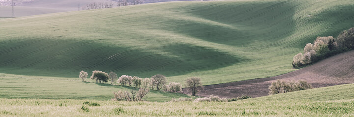 Wall Mural - Vintage Panorama with Big Field