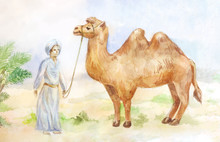Watercolor Illustration Of Camel And Chasseur On Desert Background. Egypt Scene.