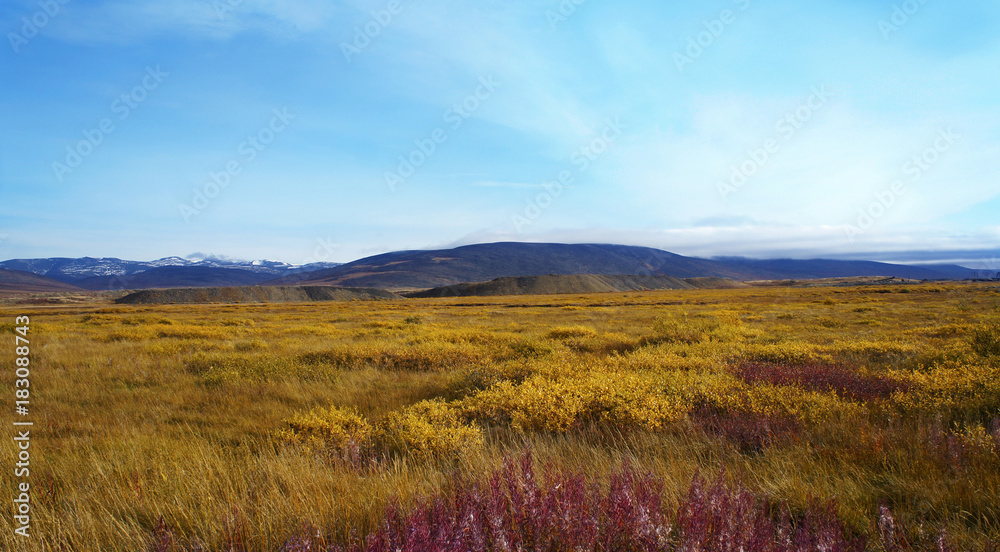 Luxury tundra in the autumn beauty of the mountains - obrazy, fototapety, plakaty 