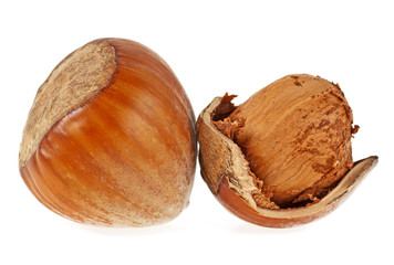 Hazelnuts isolated on a white background, close up