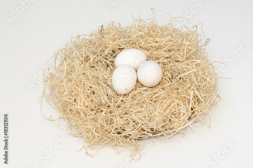Fotografía Un nido con tres huevos blancos de gallina