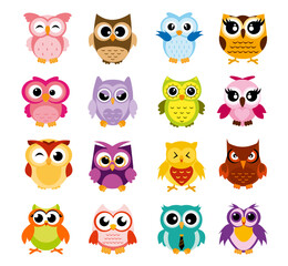 vector illustration of colorful cartoon funny owls set on white background. happy and joyful birds s