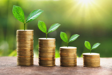 Poster - growing plant on stack money with sunshine. business finance concept