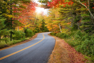 Winding road curves through splendid autumn foliage in New England. Sun rays peeking through colorful trees.