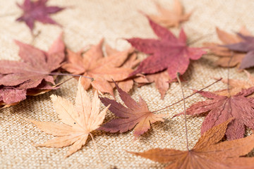 Sticker - Dried maple leave over linen texture