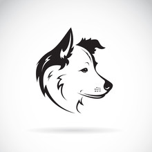 Vector Of A Border Collie Dog On White Background. Pet. Animal.