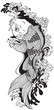 koi carp gold fish swimming upstream. Black and white vector illustration tattoo style drawing
