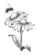 Bee with flowers hand drawing engraving style isolate on white background