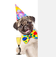 Poster - Happy puppy in birthday hat holding glass of champagne and peeking above white banner. isolated on white background