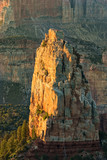 Fototapeta Morze - Scenic North Rim Grand Canyon Landscape