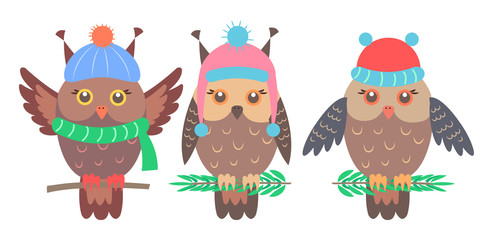 Sticker - Set of Funny Owls on Branches Vector Illustration