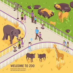 Wall Mural - Welcome To Zoo Composition