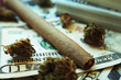 Marijuana Blunt On Money Surrounded With  Bud High Quality With Lomo Effect