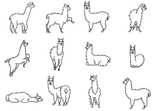 Vector Set Of Characters. Illustration Of South Americas Cute Lama With Decorations. Isolated Outline Cartoon Baby Llama. Hand Drawn Peru Animal  Guanaco, Alpaca, Vicuna. Drawing For Print, Fabric.