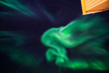 the polar arctic northern lights aurora borealis sky star in norway svalbard in longyearbyen city th