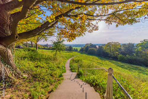 Fotografía Scenic view of Richmond park walking path