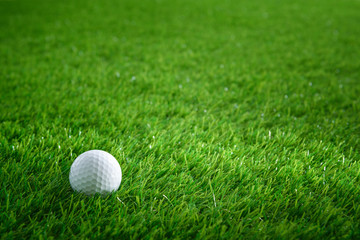 Wall Mural - Golf ball on green grass in golf course