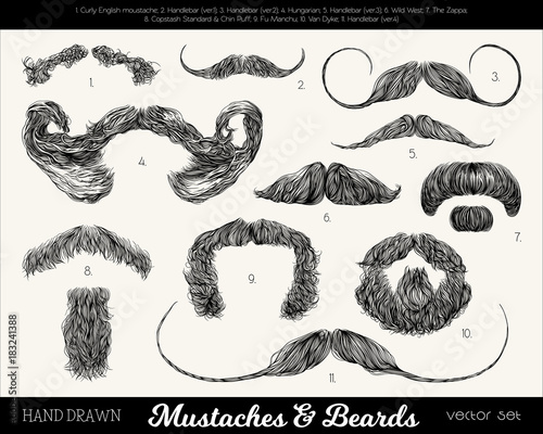Vector Set With Mustaches And Beards Hand Drawn Illustration With