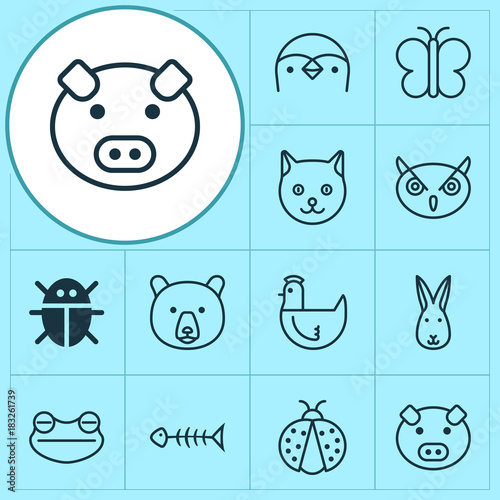 Fotografie, Obraz Animal icons set with bunny, moth, kitten and other hen
elements