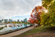 Autumn colours on the sea wall on stanley park vancouver canada