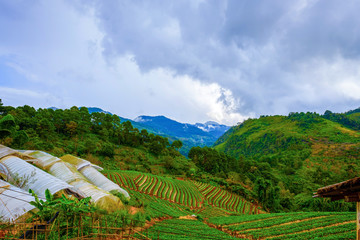 high mountains peaks range clouds in fog scenery landscape national park view outdoor  at Doi Ang Khang, Chiang Mai Province, Thailand