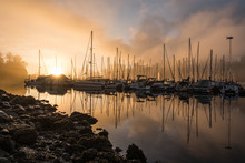 Golden Sunrise By The Coal Harbour Marina Vancouver Canada