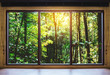 © SasinParaksa - Looking through window, tropical forests in sunrise view