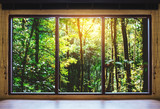 Looking through window, tropical forests in sunrise view