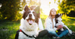 © NDABCREATIVITY - Romantic happy couple in love enjoying their time with pets in nature