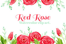 Red Rose For Love. Watercolor Clip Art With Red Rose And Leaf. The Image Is Illustration For Card And Frame.