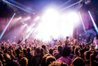 © Tobias - Crowd at music festival looking at stage
