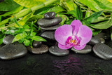 Fototapeta Tulipany - Spa concept with zen stones, orchid flower and bamboo