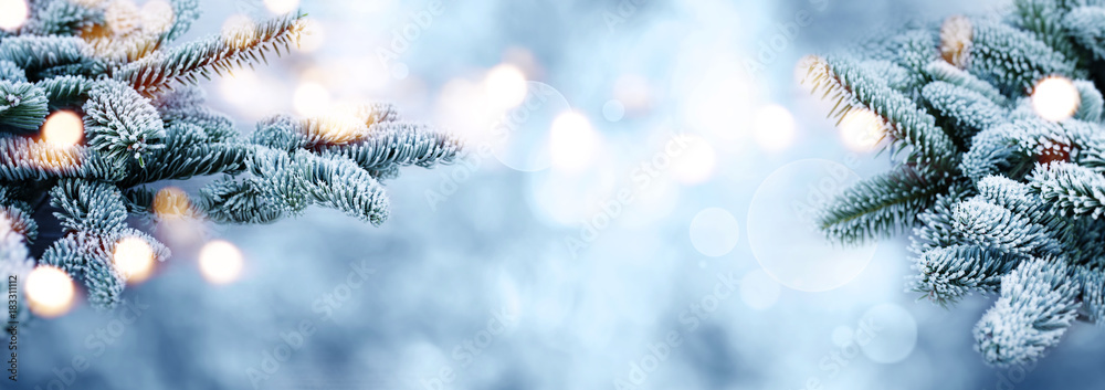 Rime covered fir branches with bokeh in winter - obrazy, fototapety, plakaty 