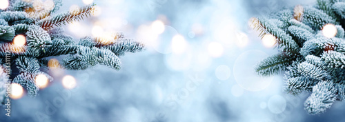 Fotomural Rime covered fir branches with bokeh in winter