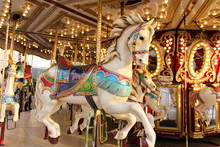 Vintage Carousel Horse