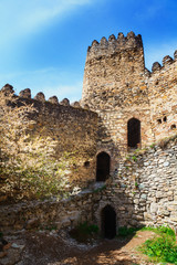 Wall Mural - Nice panoramic view of the fortress and church Ananuri, standing on the shore of the reservoir Zhinvali. Georgia