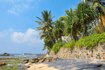 Wall Mural - tropical beach