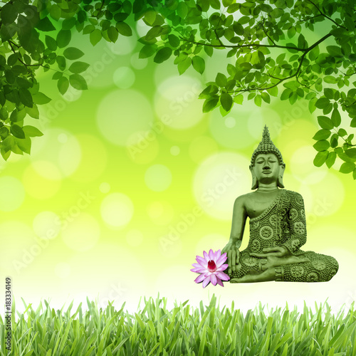 Bouddha Fleur De Lotus Buy This Stock Photo And Explore