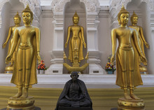 Buddha Statues Chiang Mai Thailand