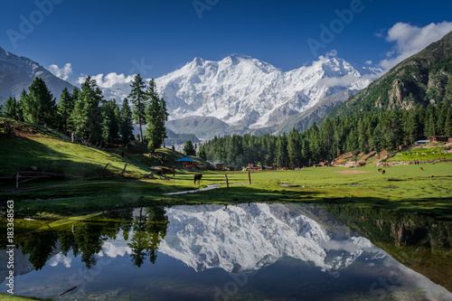 Dekoracja na wymiar  widok-na-potezna-gore-nanga-parbat-8126-m-pakistan-znany-rowniez-jako-gora-zabojcow-jest-jednym-z-14-osmiotysiecznikow