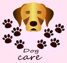 A Kind Brown Dog. Beautiful Themed Poster Cartoon Sketch Of Dog And Dog Tracks. Dog Care