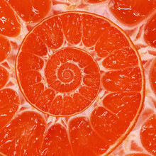 Red Orange Slice Spiral Swirl Abstract Fractal Background. Orange Slice Spiral Background Pattern. Impossible Abstract Red Orange Food Fractal Background. Surreal Red Grapefruit Mandarin Fruit Swirl A