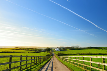 Fence casting shadows on a road leading to small house between scenic Cornish fields under blue sky, Cornwall, England