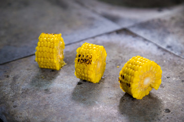 closeup of chopped piece of sweet corn on hot plate