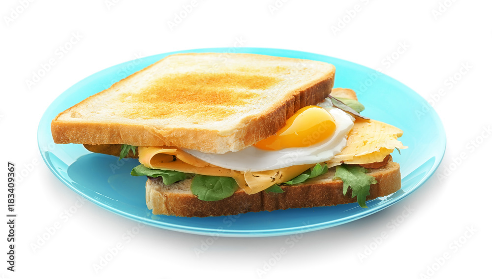 Plate with tasty toasts and fried egg, isolated on white