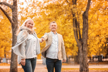 Poster - Mature couple walking in park on autumn day