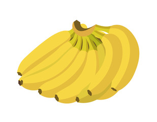 Canvas Print - Banana Bunch. Flat Design Vector Illustration Of  A Bunch Of Banana.